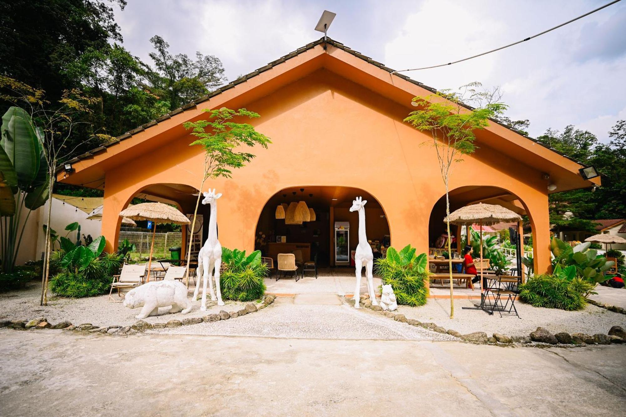 Lilla Rainforest Retreat - هولو لانجات المظهر الخارجي الصورة