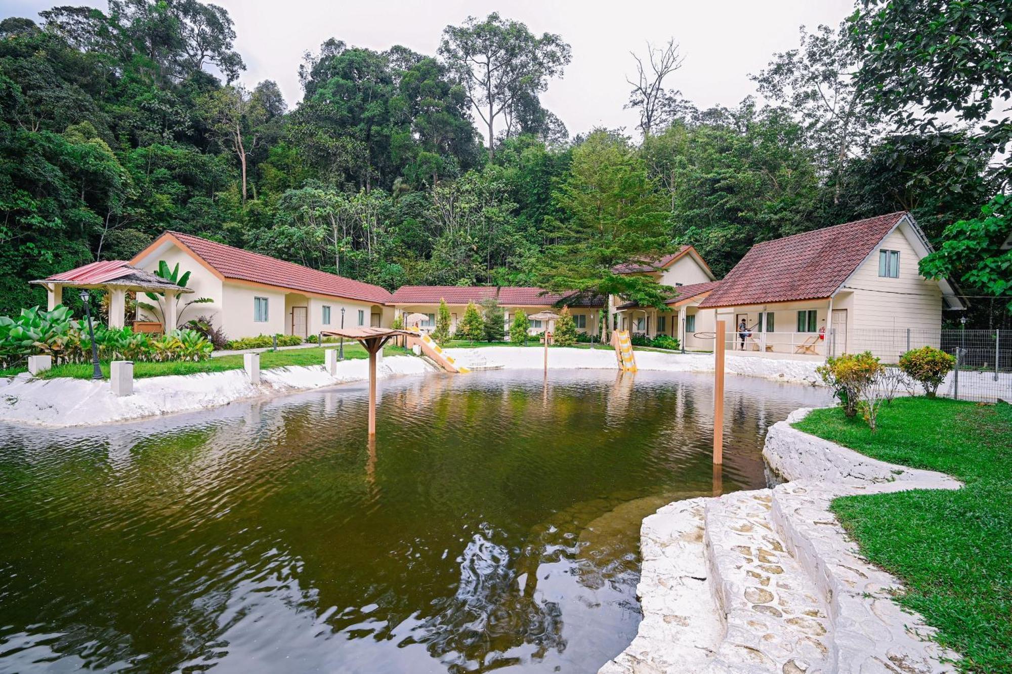 Lilla Rainforest Retreat - هولو لانجات المظهر الخارجي الصورة