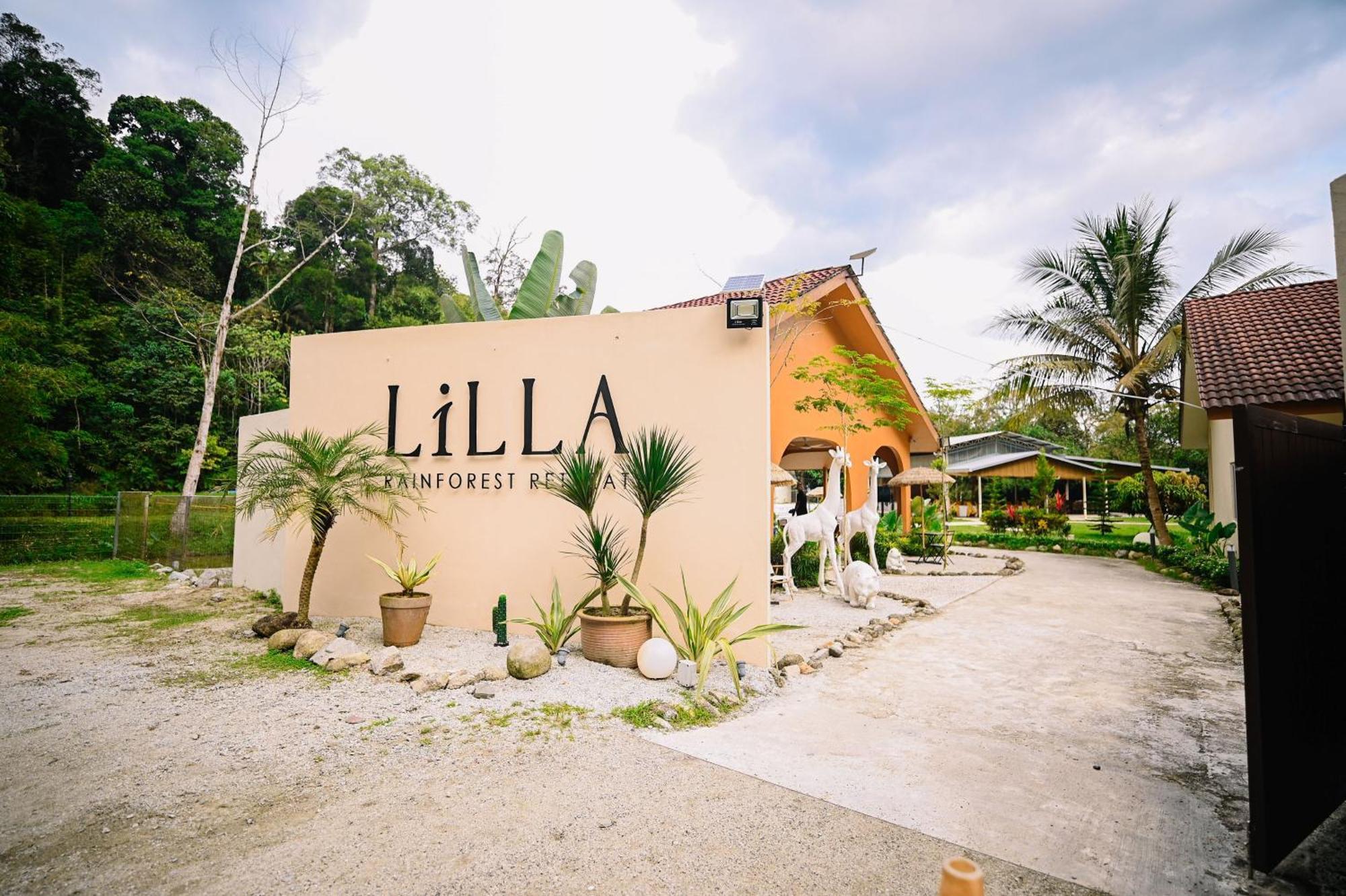 Lilla Rainforest Retreat - هولو لانجات المظهر الخارجي الصورة