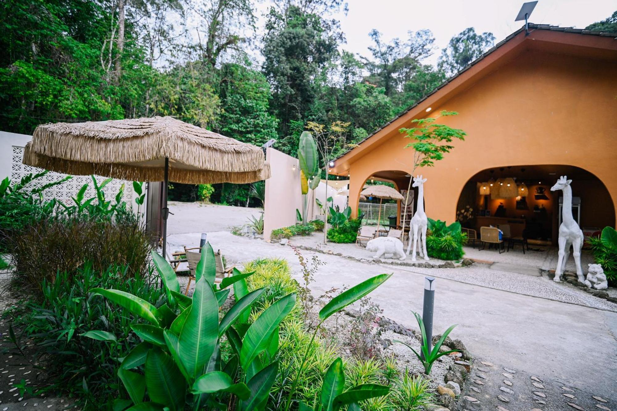 Lilla Rainforest Retreat - هولو لانجات المظهر الخارجي الصورة