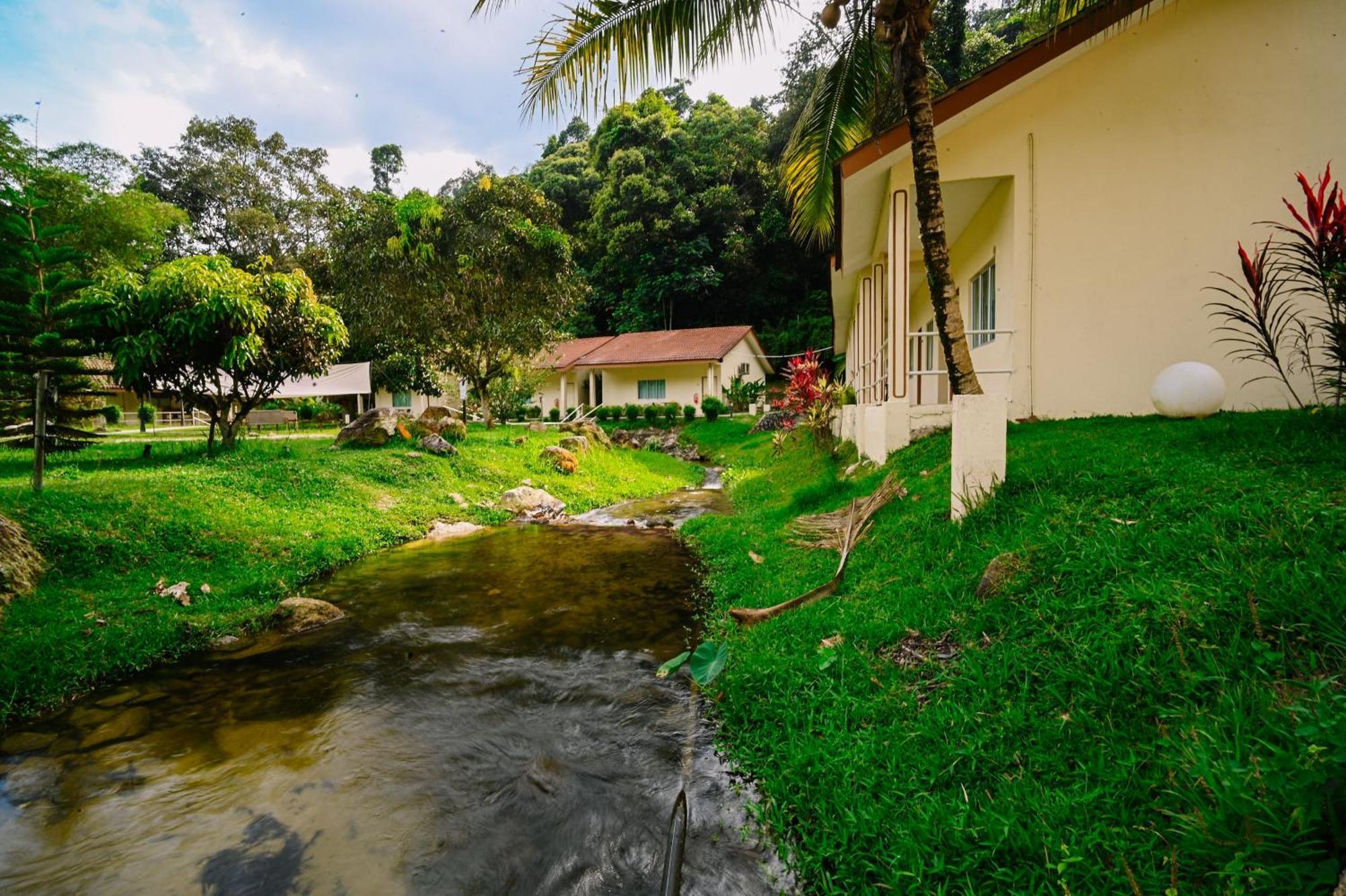 Lilla Rainforest Retreat - هولو لانجات المظهر الخارجي الصورة